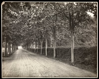 Tree-lined drive at the home of Thomas Edison (1907) by Byron Company